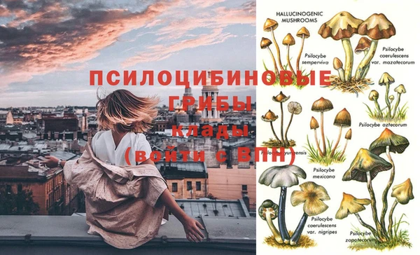 мескалин Беломорск